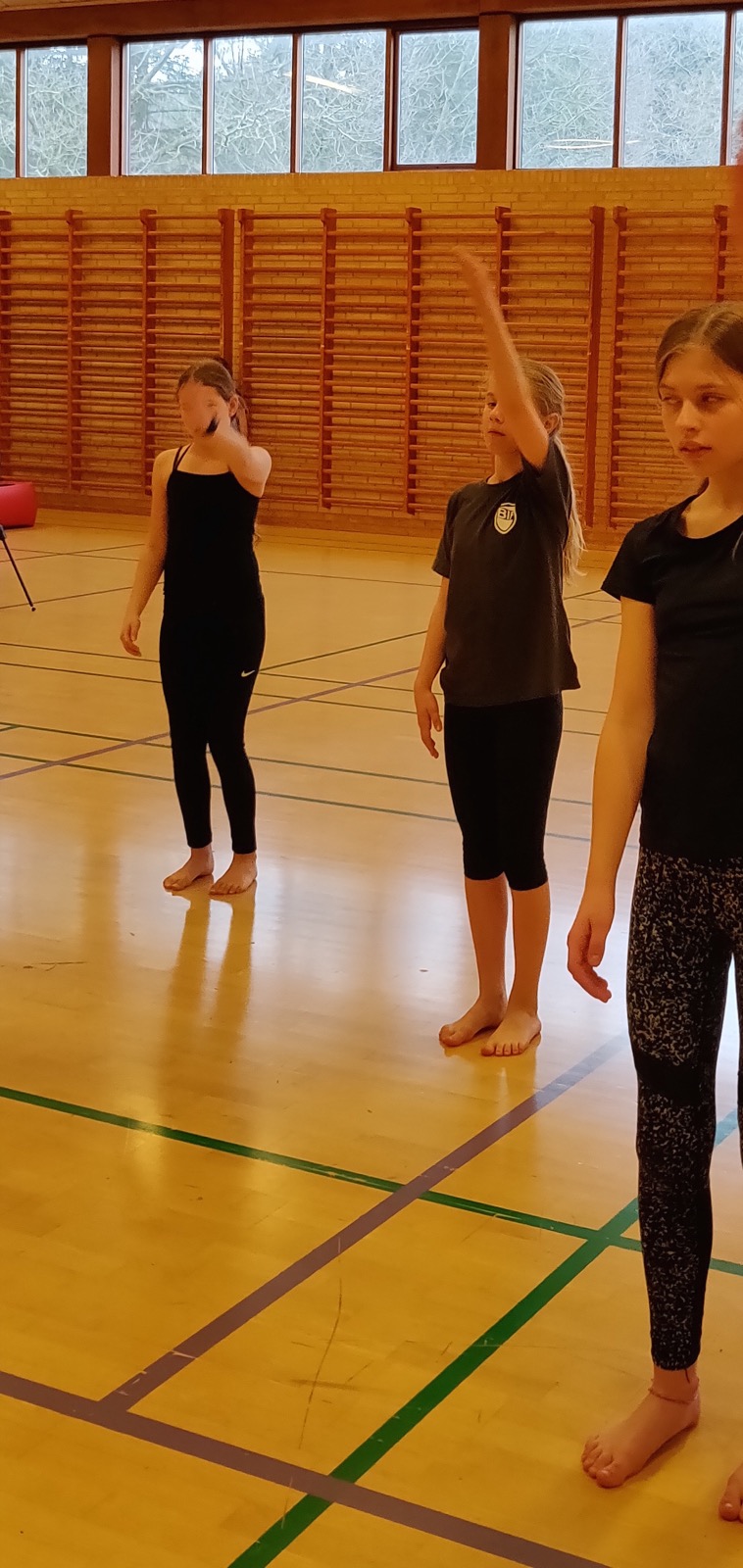 Arbejde med sving